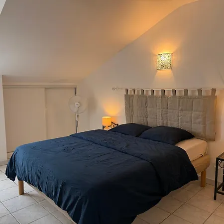 게스트하우스 Domaine Du Thie 3*